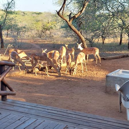 Khumbula Iafrica 1 Marloth Park Exterior foto