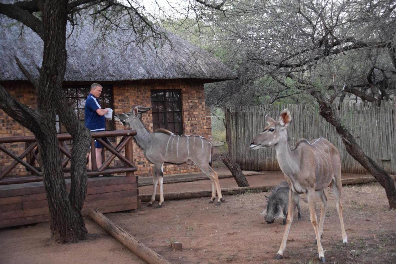 Khumbula Iafrica 1 Marloth Park Exterior foto