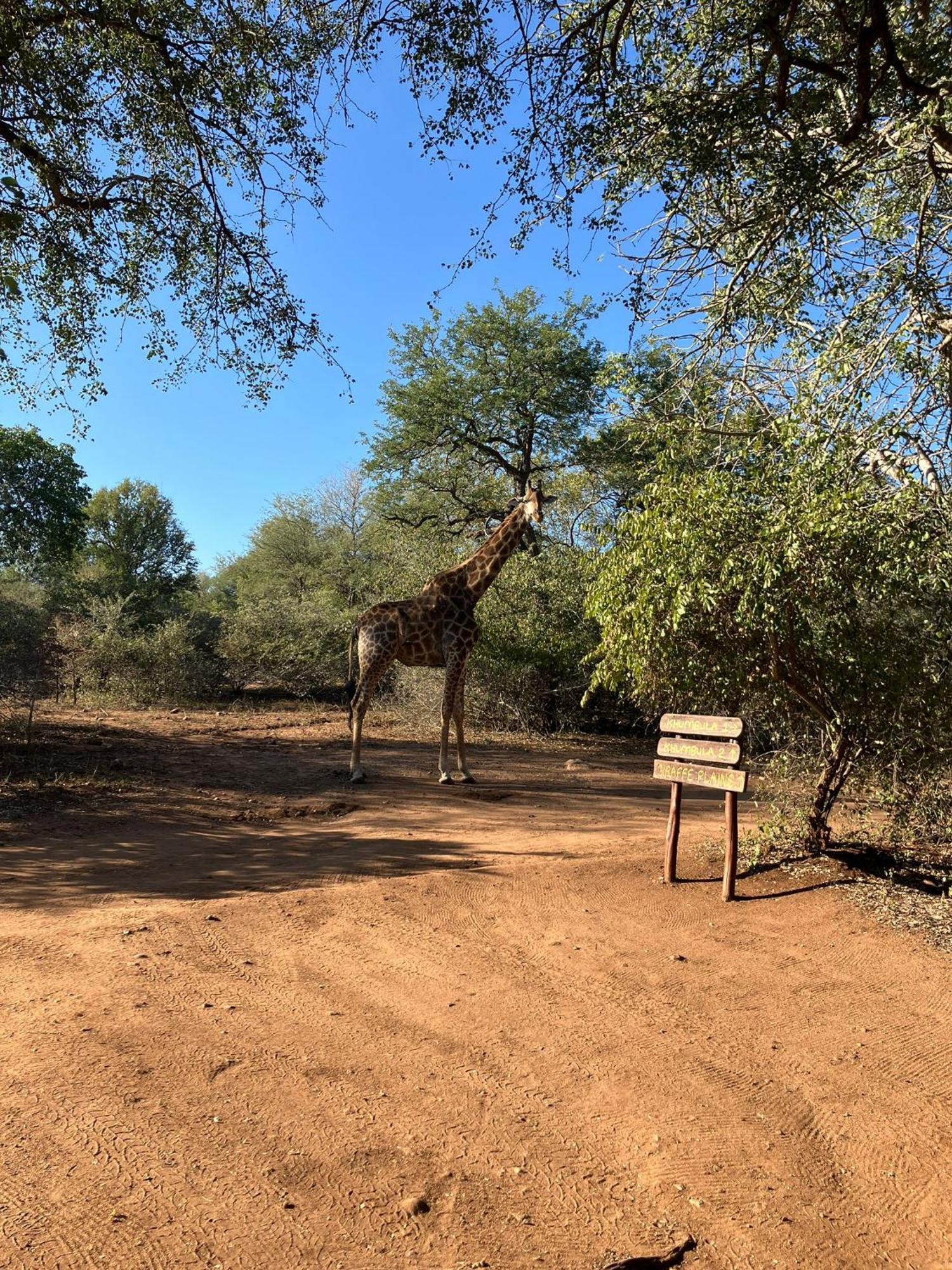 Khumbula Iafrica 1 Marloth Park Exterior foto
