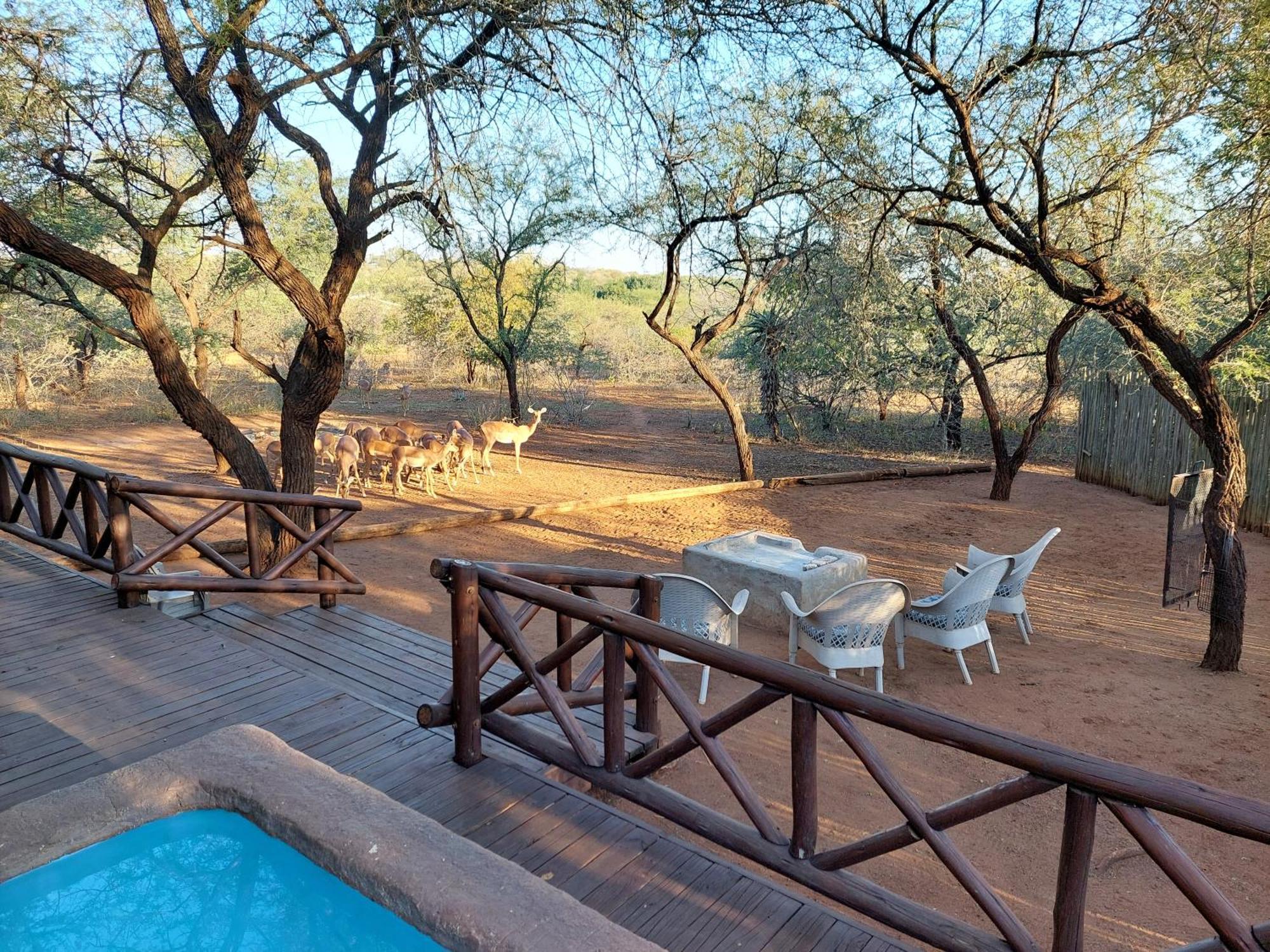 Khumbula Iafrica 1 Marloth Park Exterior foto